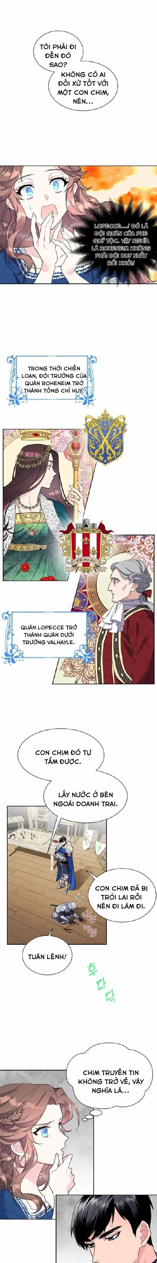 công chúa chim ưng cavier chapter 5 17