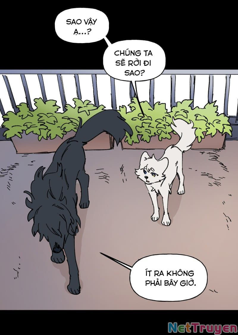 lumine - cội nguồn ánh sáng chapter 109 29