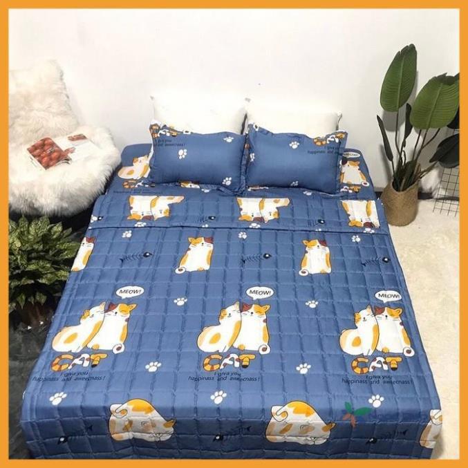 Bộ Chăn Hè Ga Gối Trải Giường Bọc Đệm Mèo Bụng To