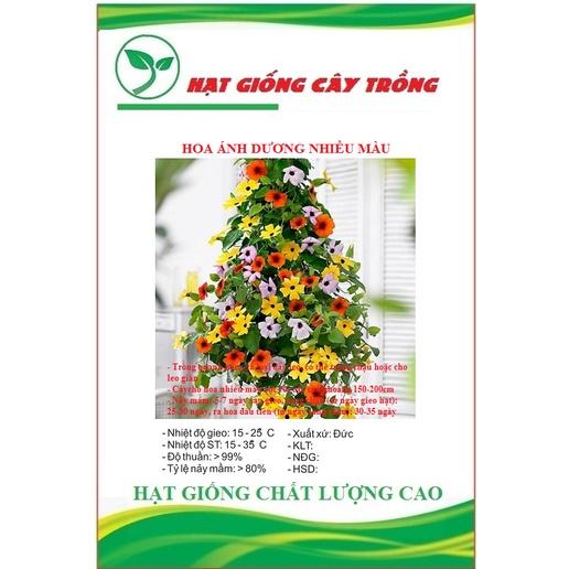 Hạt Giống Hoa Ánh Dương Nhiều Màu CT491 - Gói 5 hạt