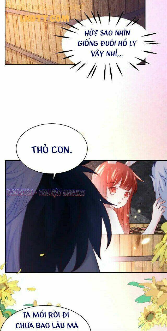 hắc hóa nam chính trực tuyến nuôi thỏ chapter 31 29