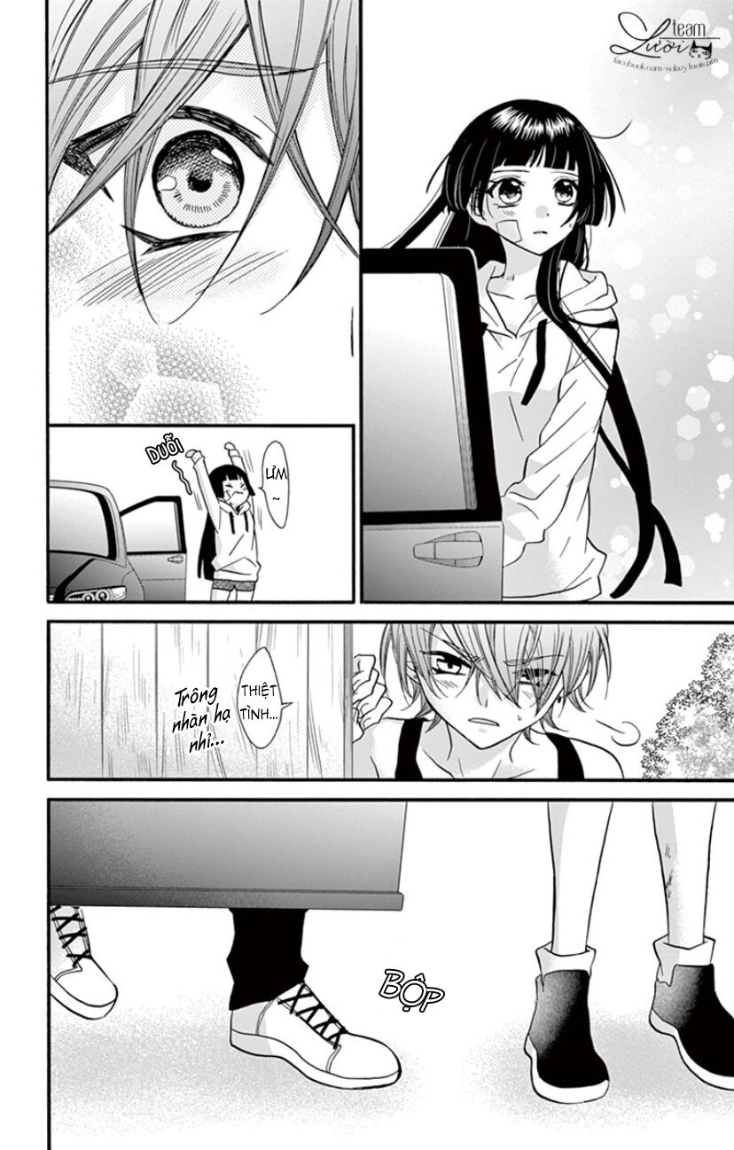 chàng rể giả nhân giả nghĩa chapter 17 13