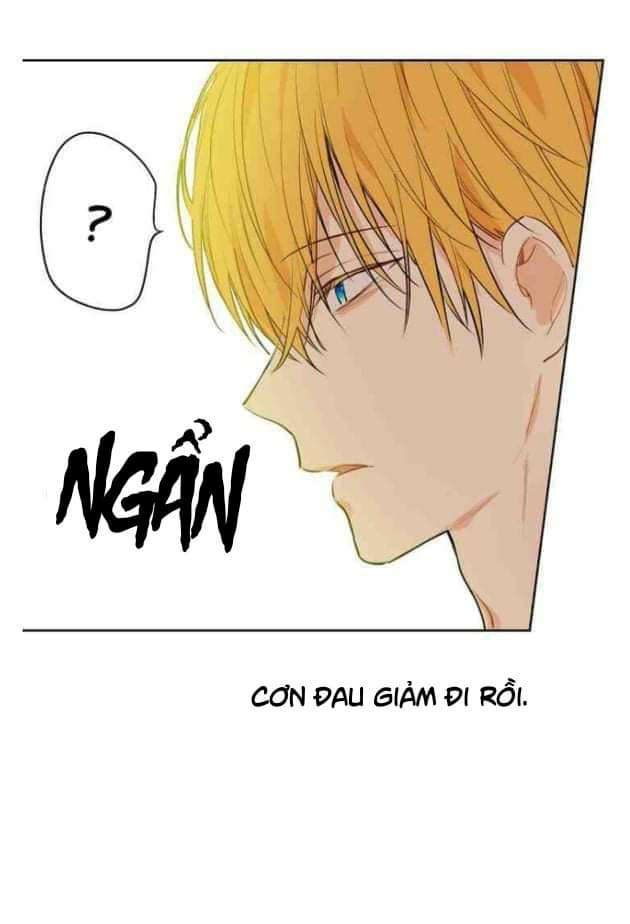 bỗng một ngày nọ tôi trở thành nàng công chúa chapter 60 37