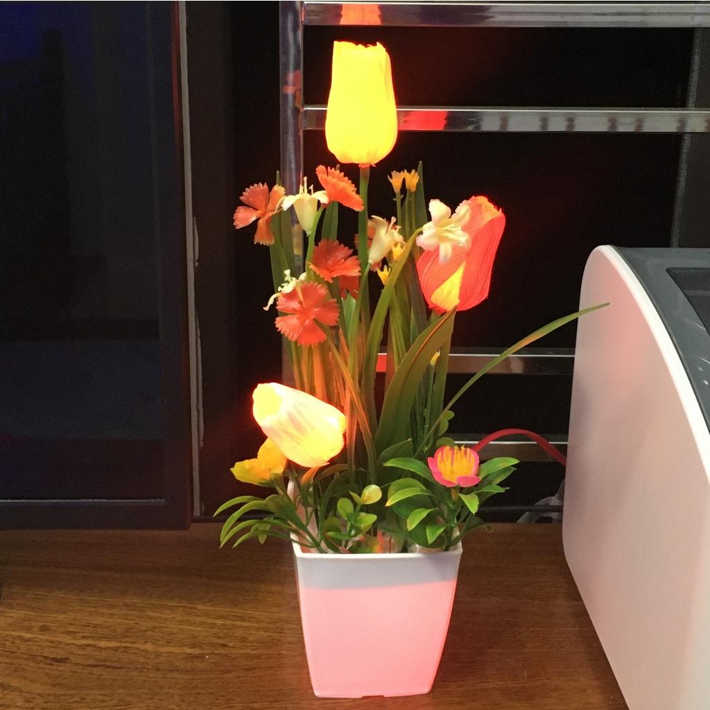 Đèn ngủ hoa tulip 3 bông