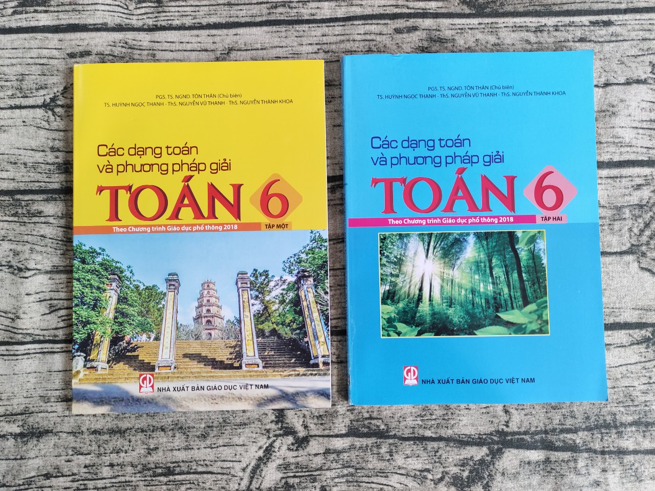 Các dạng toán và phương pháp giải toán 6 tập 1 + tập 2