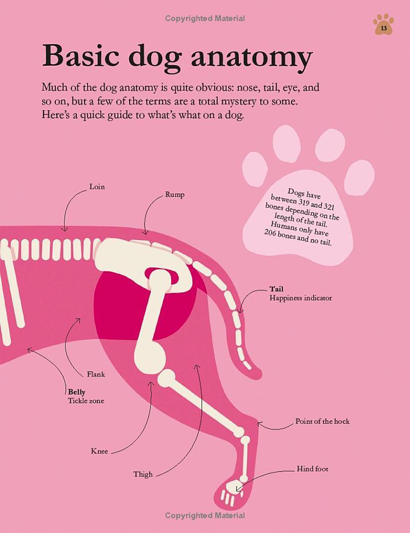 How Dogs Work: A Head-to-Tail Guide To Your Canine (How Things Work)