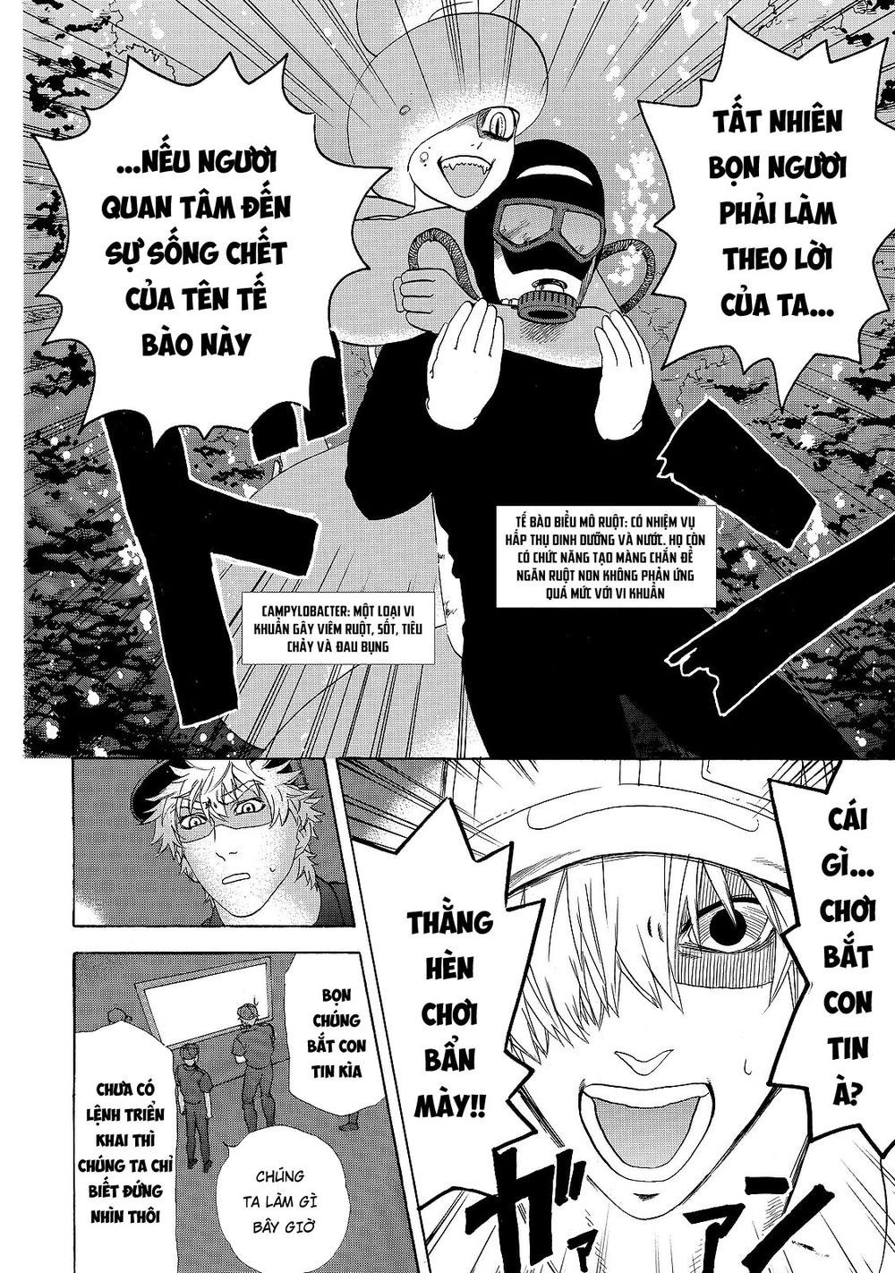 hataraku saibou! chapter 19 8