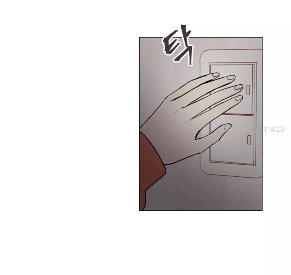 tôi kết hôn cùng antifan chapter 8.1 2