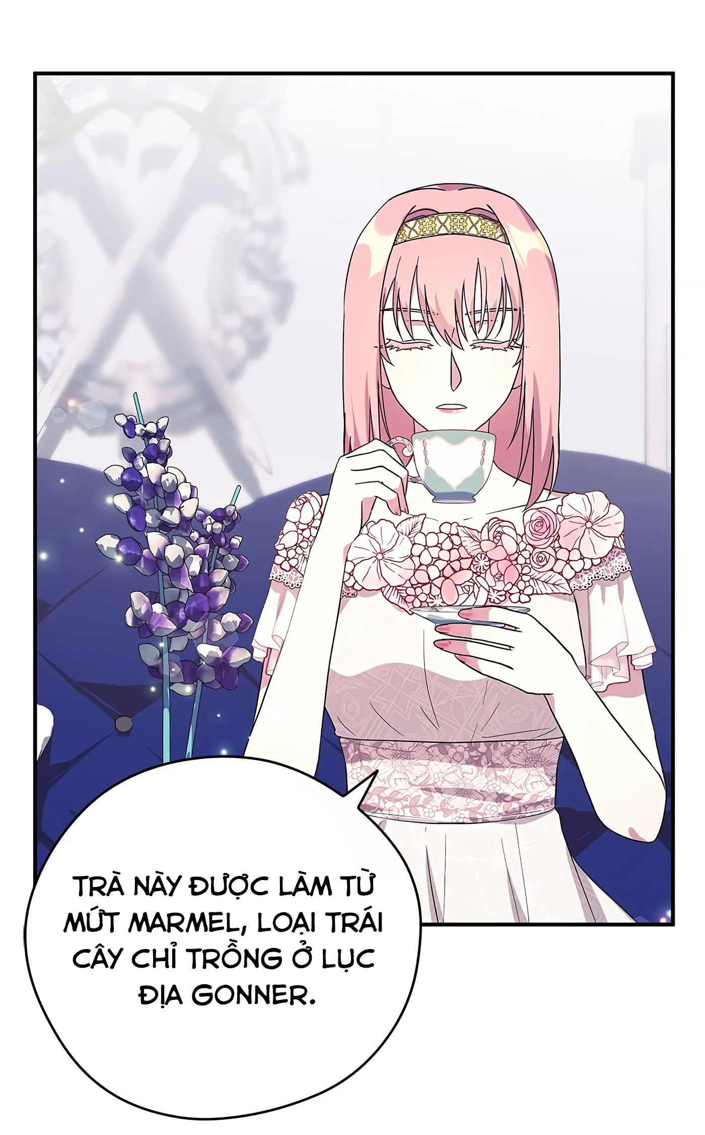 tôi không phải là nữ anh hùng chapter 69 8