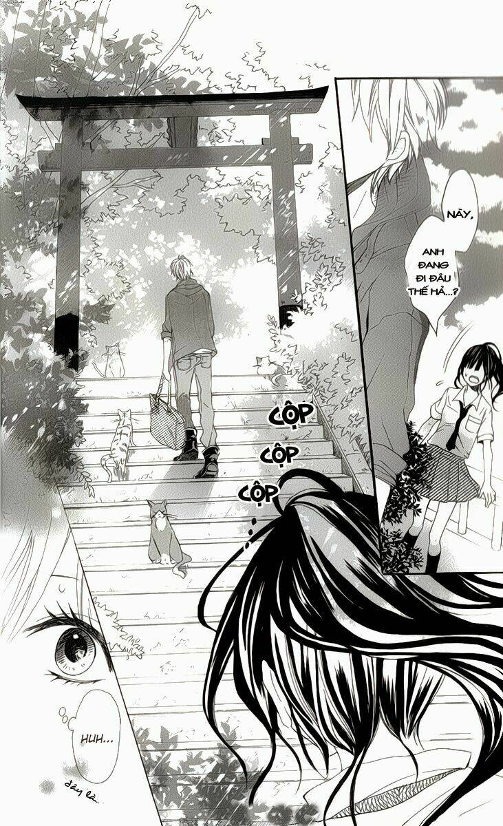 k9-jinja no mori no nora neko-kun chapter 1 11