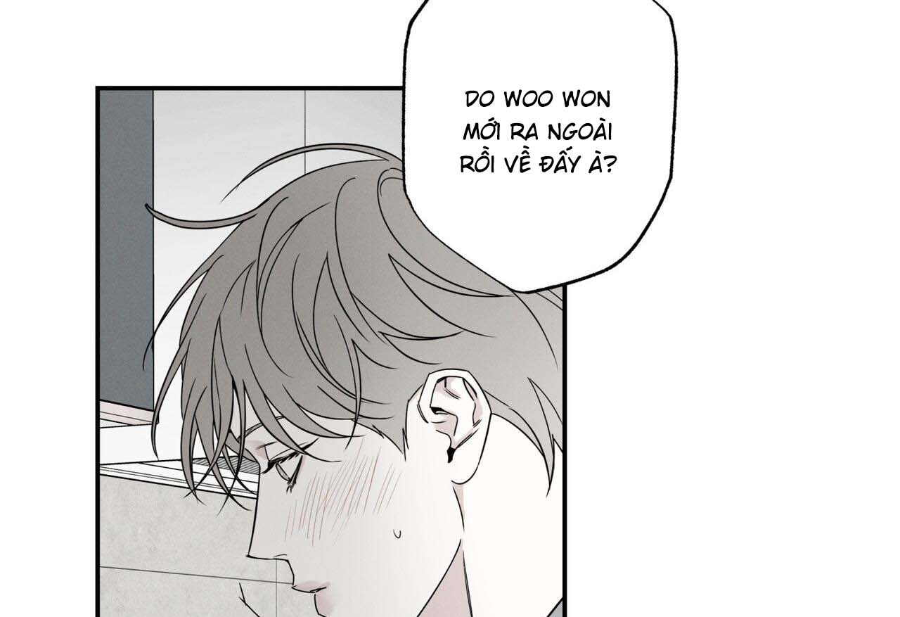 chàng giao pizza và gold palace chapter 41 136