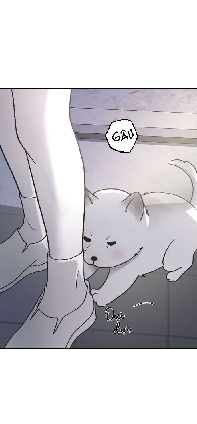 ba anh trai cực phẩm của tôi chapter 68 8