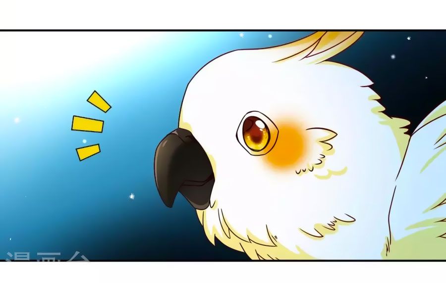 huyền vũ luyến ca: vạn vật sinh linh chapter 30.1 16