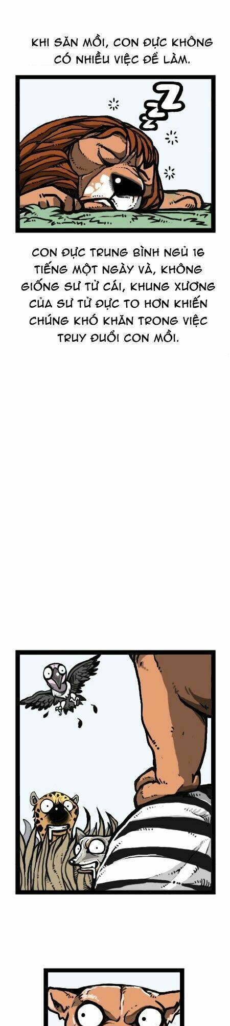 earth, human, and animal chapter 27 21