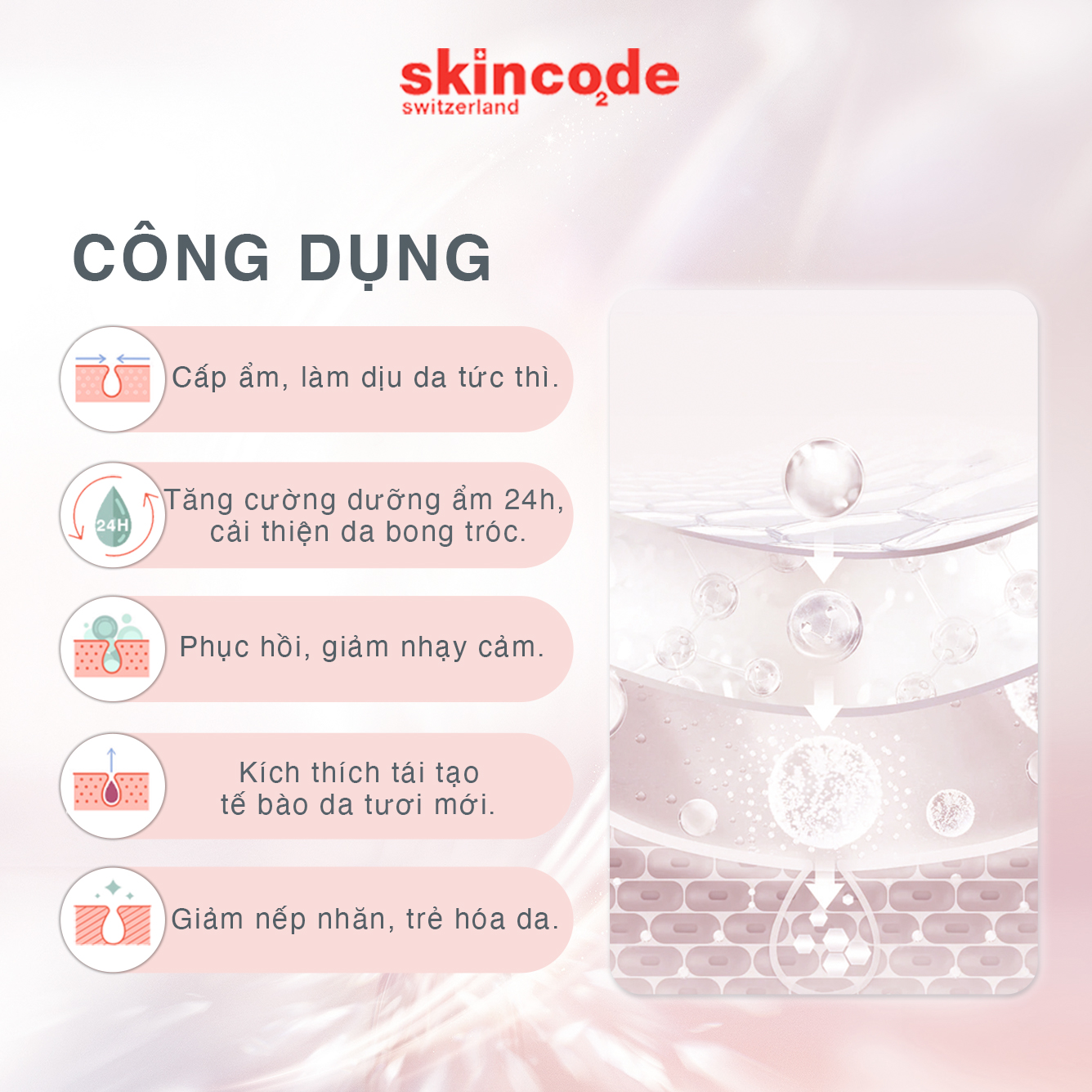 Kem phục hồi, dưỡng ẩm trẻ hóa da Skincode 24h Cell Energizer Cream 50ml - MS 1011