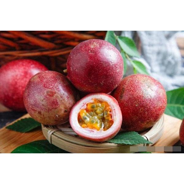 Combo 3 CÂY Chanh Leo tím