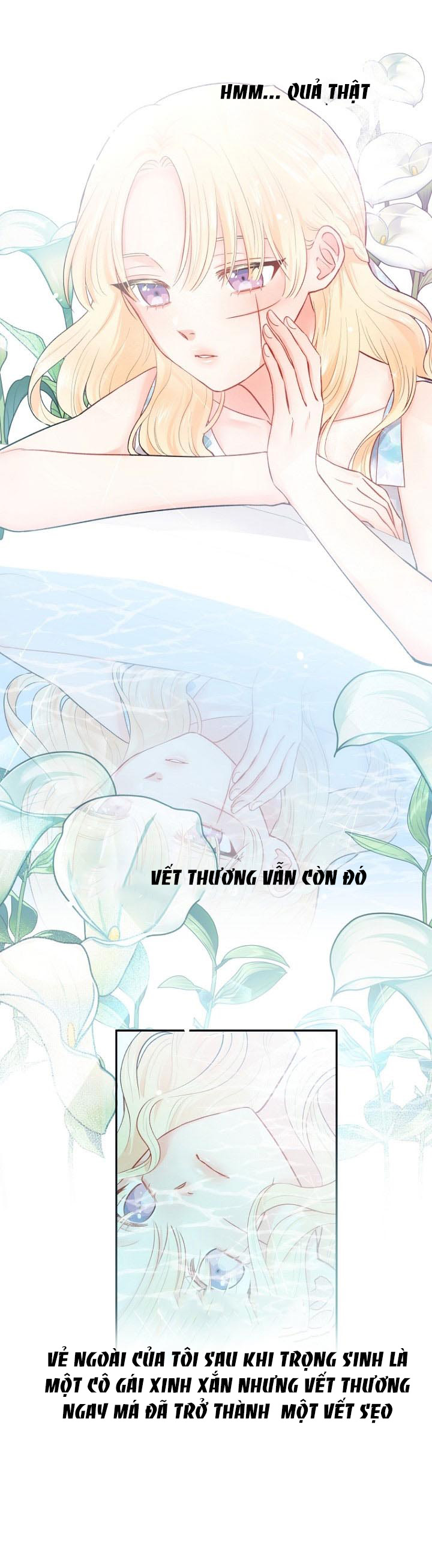 xin đừng trao tấm lòng vào cuốn sách ấy chapter 1 39