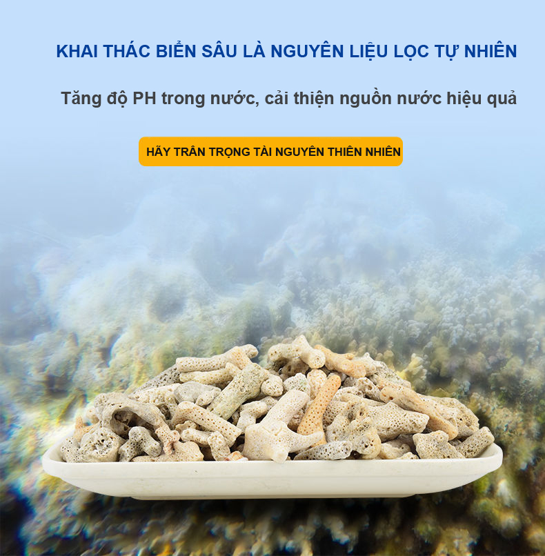 4KG San Hô Vụn vật liệu lọc hồ cá, trang trí bể cá, hồ thủy sinh cao cấp 