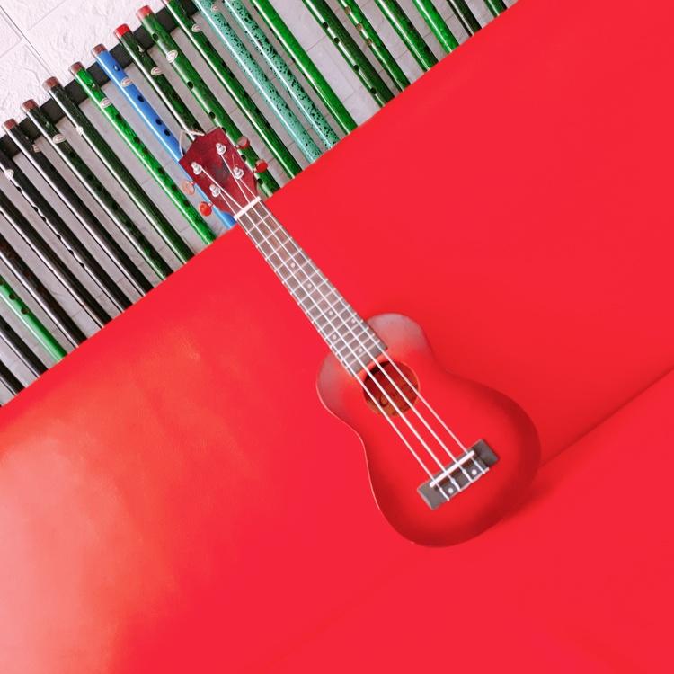 Đàn ukelele nhiều màu sắc đáng yêu