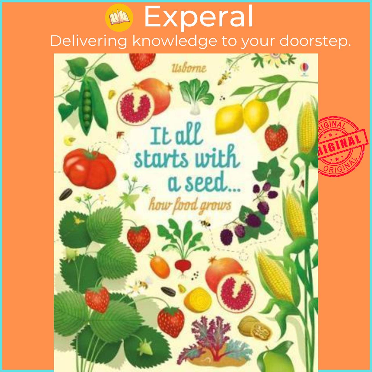 Sách - Big Picture Book How Food Grows by Emily Bone
