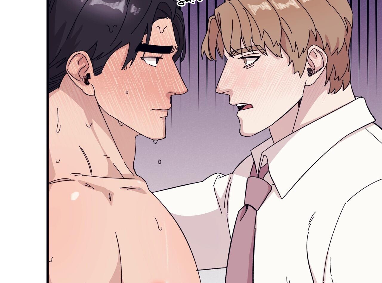 chàng dâu nhà họ kang chapter 44 55