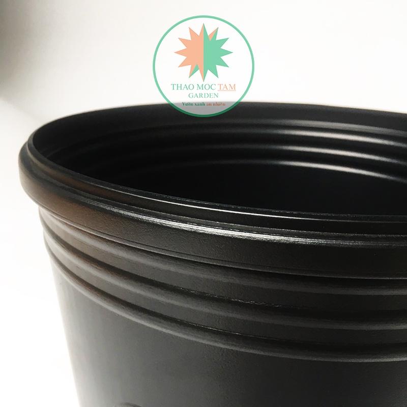 Chậu Trồng Cây 30x28cm TOKAI – Chậu to trồng cây chất lượng Nhật