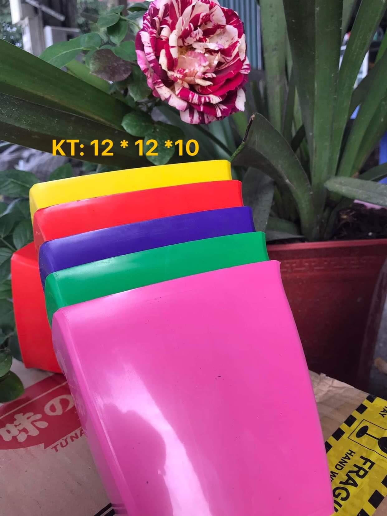 Chậu nhựa vuông V12 trồng hoa cây cảnh văn phòng hàng loại 1 KT 12x12x10cm
