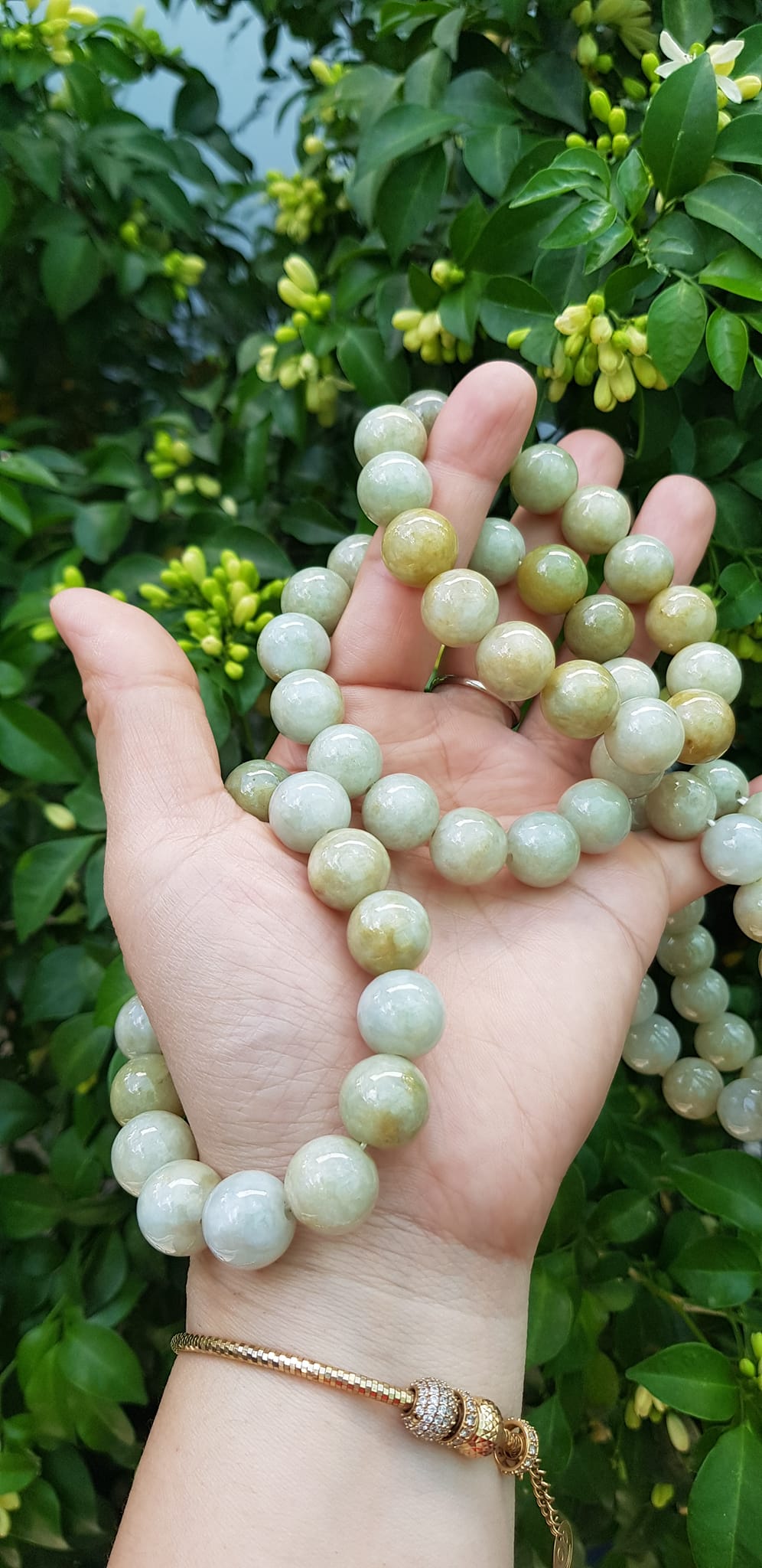 Vòng tay chuỗi nam nữ đá cẩm thạch tự nhiên trắng vàng bóng ngời Vòng size hạt 13mm Màu trắng vàng đất nhẹ bóng mượt thiệt đẹp ạ