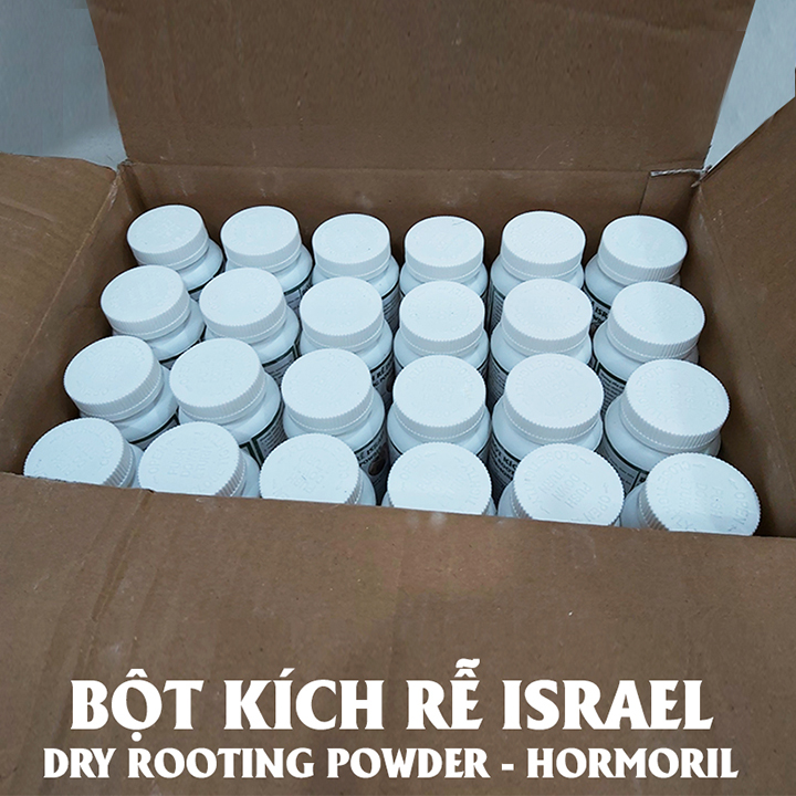 Tự Giâm Chiết Hoa Hồng tại nhà bằng Bột Kích rễ có trị nấm bệnh nhập khẩu Israel dành cho cây thân gỗ hiệu quả và sát khuẩn vết cắt