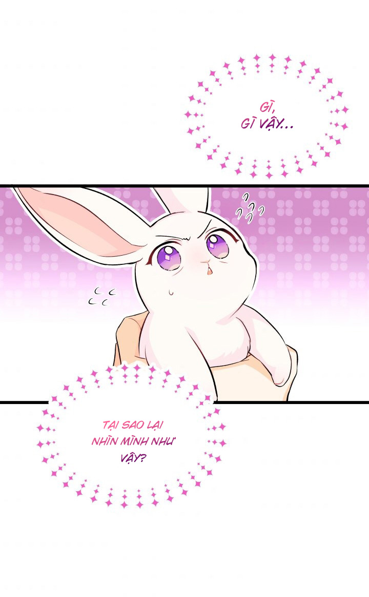 mối liên kết giữa báo đen và bé thỏ chapter 9 3