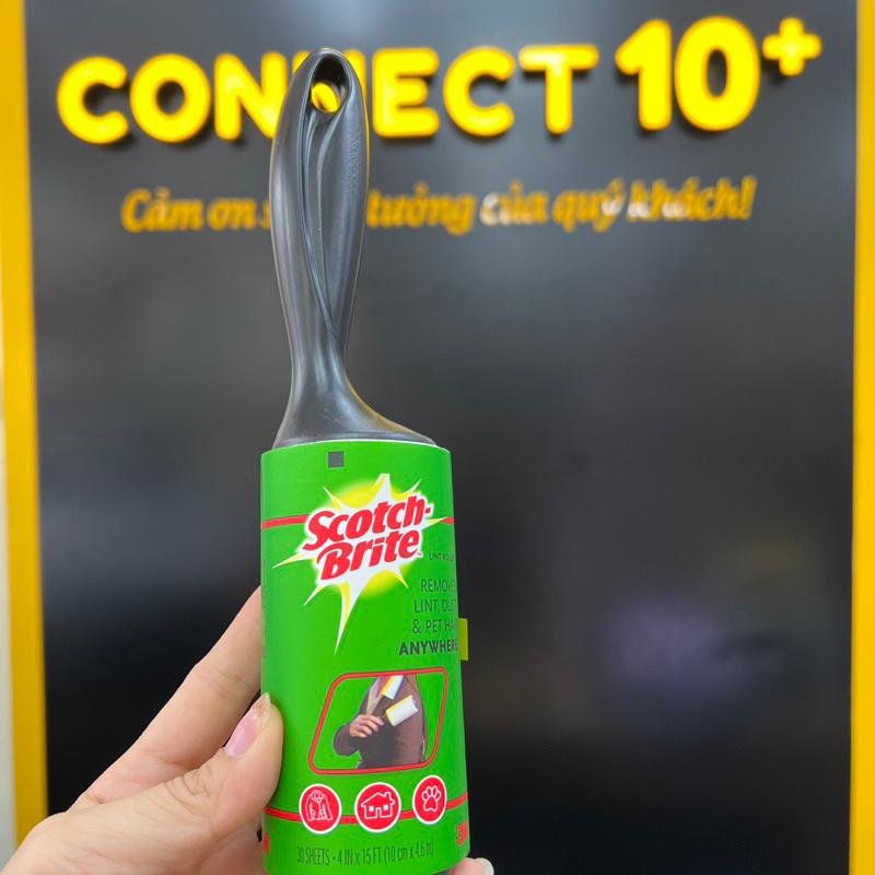 Cây lăn bụi Scotch Brite