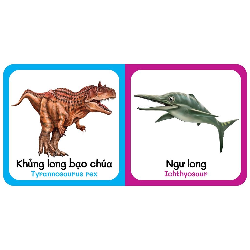 Sách - Baby'S First Picture Dictionary - Từ Điển Bằng Hình Đầu Tiên Của Bé - Khủng Long - Dinosaurs (Bìa Cứng)