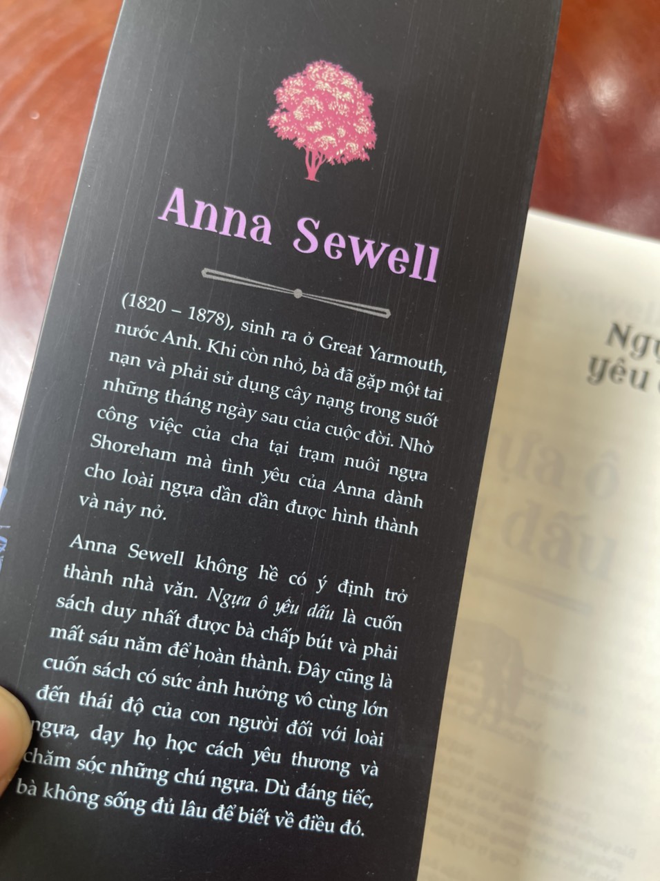 NGỰA Ô YÊU DẤU - Anna Sewell – Trần Thanh Huyền dịch – Tân Việt – NXB Dân Trí – Bìa mềm