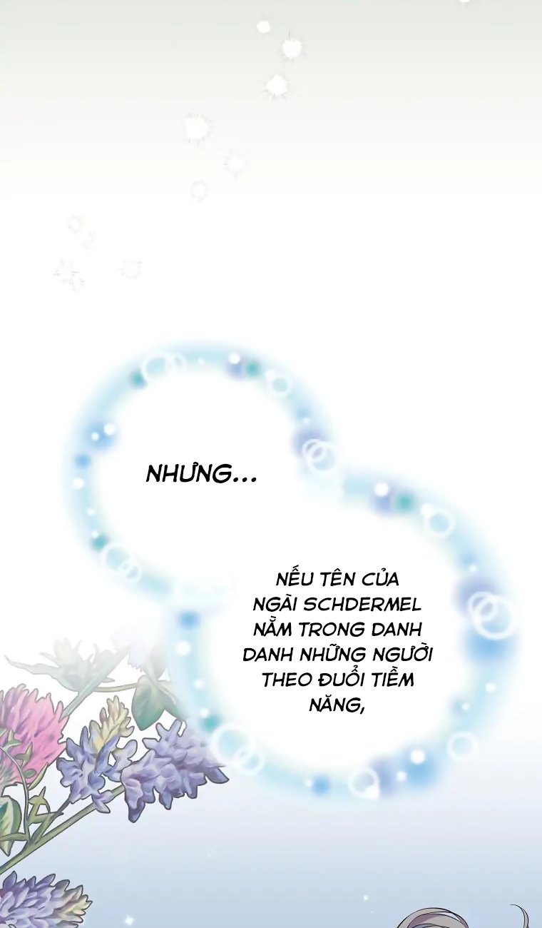 aster yêu dấu của tôi chapter 11 13