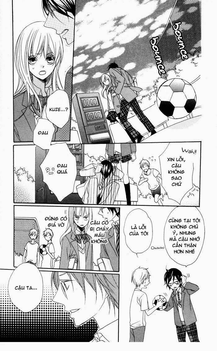 hoa hồng hoang dã chapter 2 16