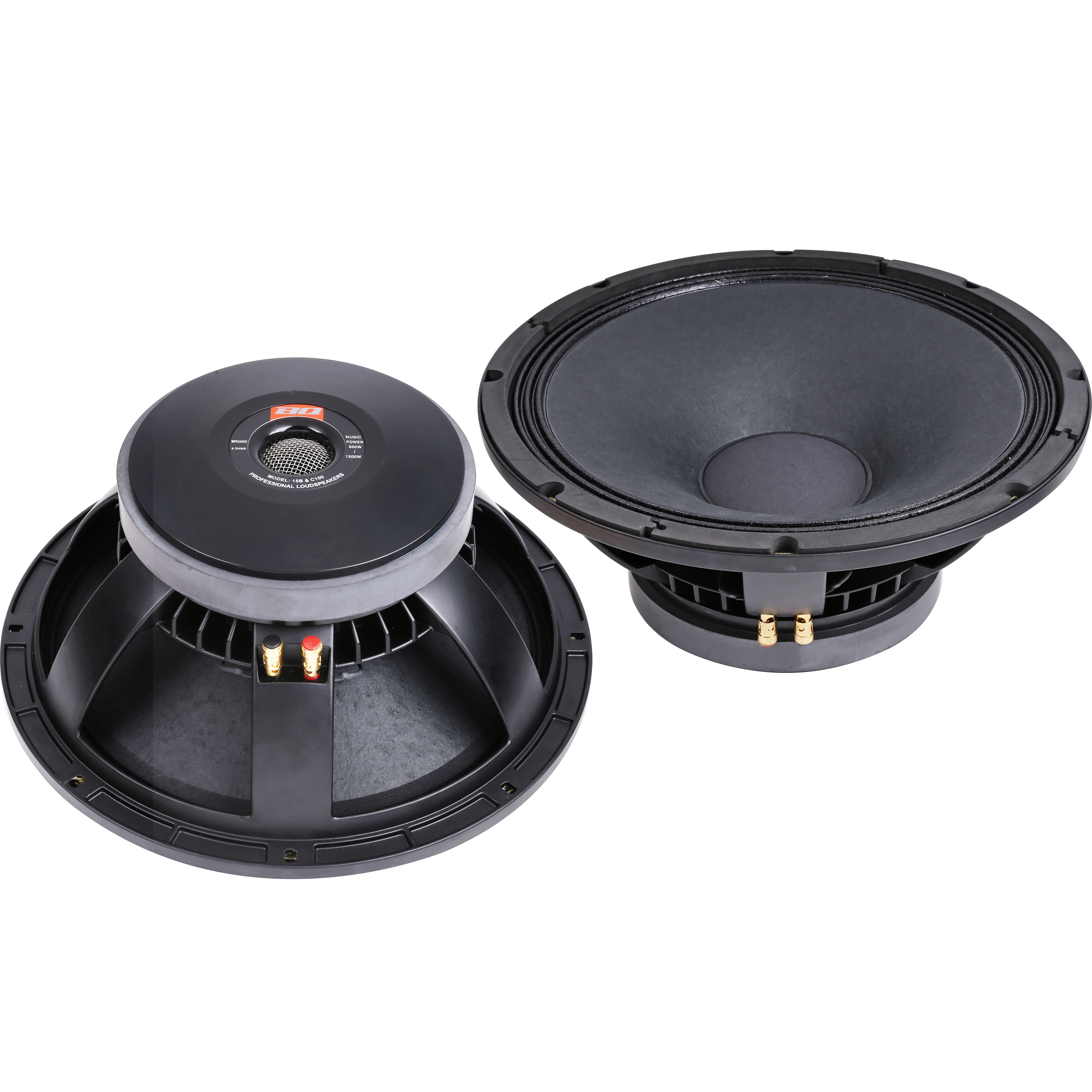 Loa Bass 15inch 15BC&amp;100 - Hàng chính hãng