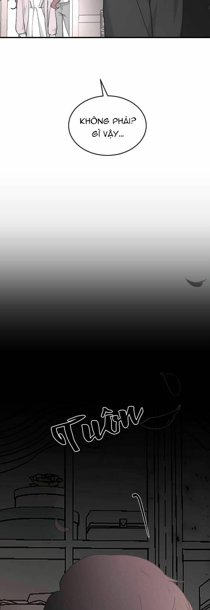 ba người anh trai cực phẩm của tôi chapter 33 19