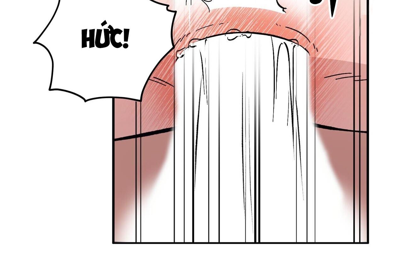 chàng dâu nhà họ kang chapter 46 79