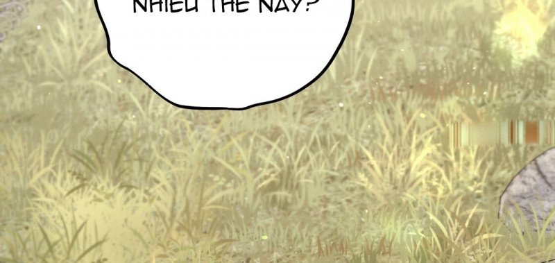 những chú thỏ của hapypy chapter 23.5 37