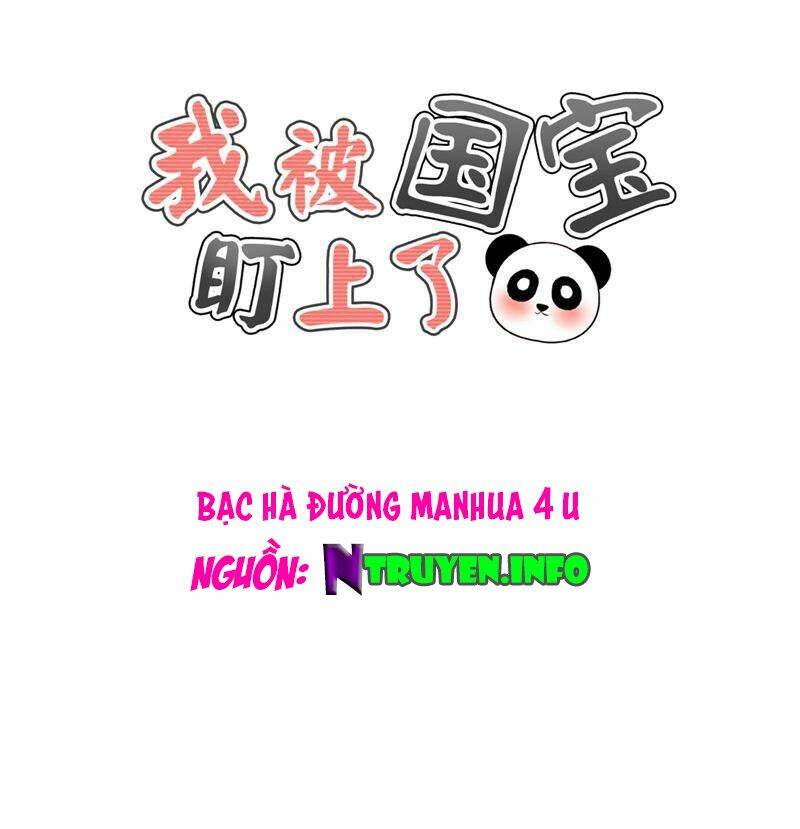 tôi bị gấu trúc nhìn trúng rồi chapter 20 1