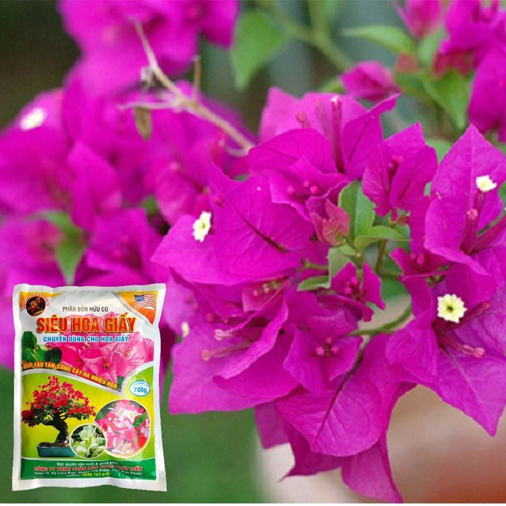 SIÊU HOA GIẤY 700g - Phân Bón Kích Thích Phát Triển Cho Cây Rẻ Vô Địch