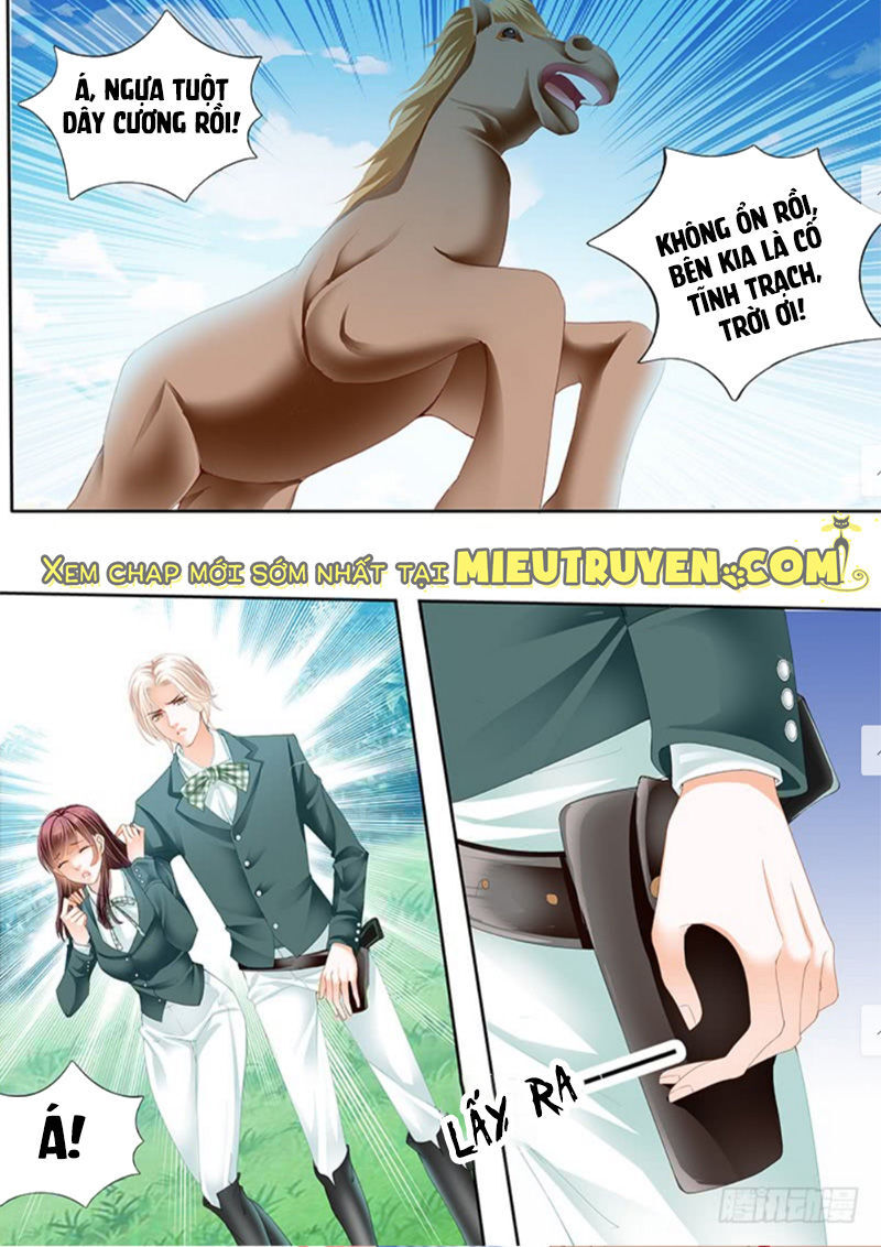 lóe thiểm hôn kiều thê mơ tưởng trốn chapter 172 9