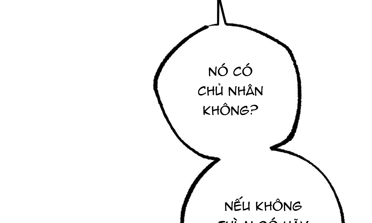 đàn thỏ của habibi chapter 35 17