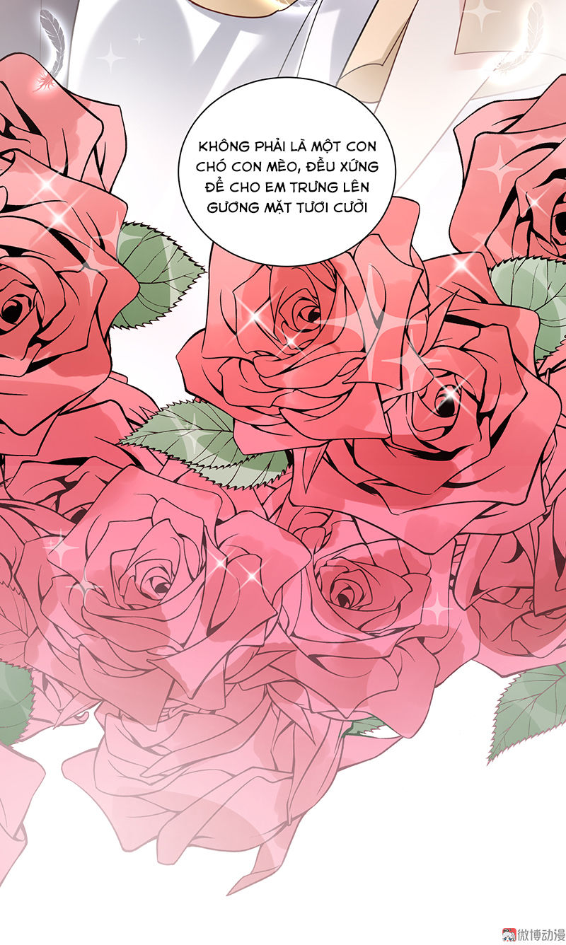 tổng tài truy thê: phu nhân lại chạy trốn chapter 11 23