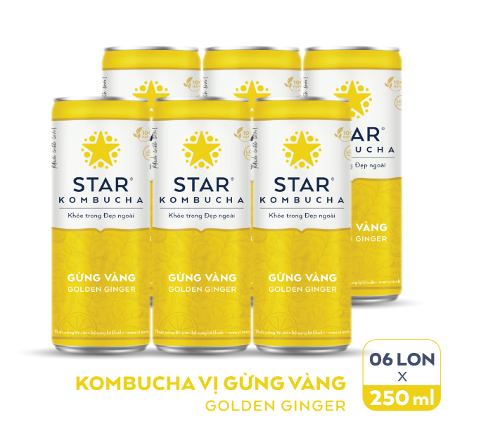 Lốc 6 lon thức uống lên men STAR KOMBUCHA Gừng Vàng / Golden Ginger (250ml/lon)