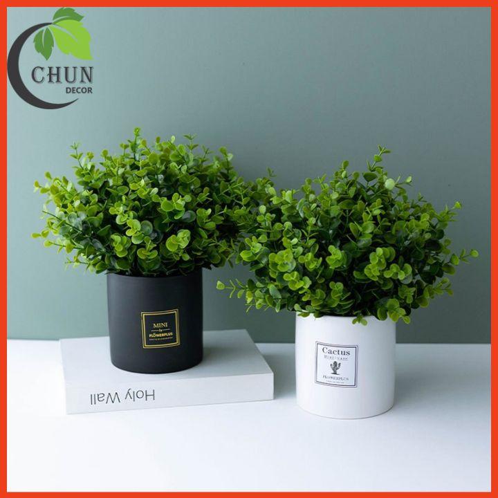 Chậu Lá Kim Tiền Nhân Tạo Xanh Mướt Cao 25-28cm Trang Tí Nhà Cửa, Cửa Hàng, Văn Phòng, Lớp Học