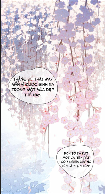 nỗi buồn của hoa cẩm tú cầu chapter 21 2