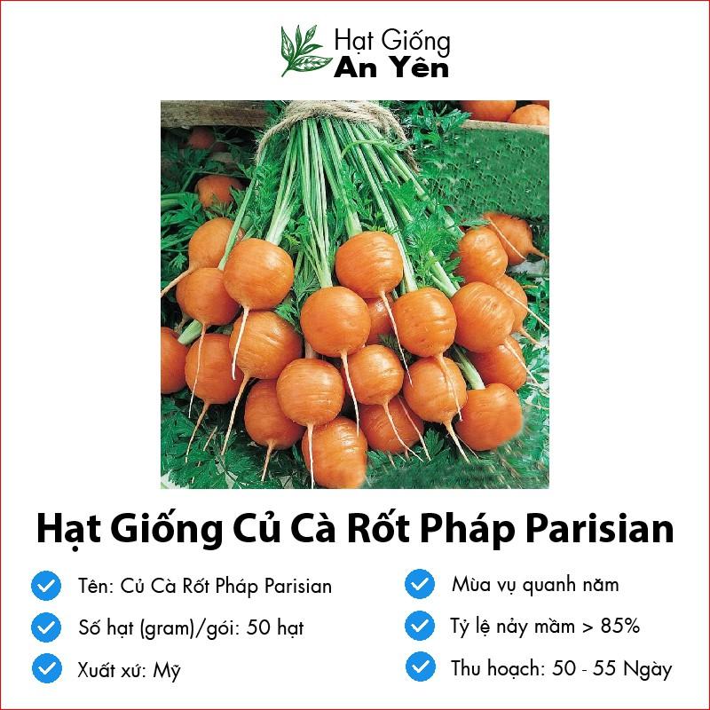 Hạt giống Củ Cà Rốt Tròn thu hoạch sớm, dễ trồng, nảy mầm cao, sinh trưởng khoẻ