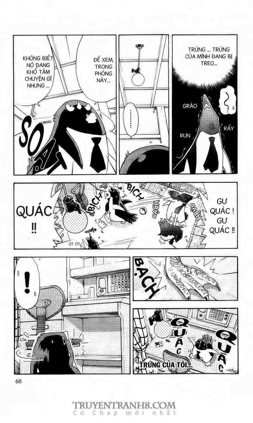 chim cánh cụt ginji chapter 56 11