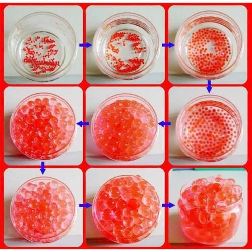 Hạt nở nhật bản phân loại màu sắc | squishyhaihuoc